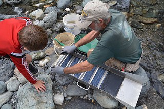 a boy and his grandfather PROSPECTING gold