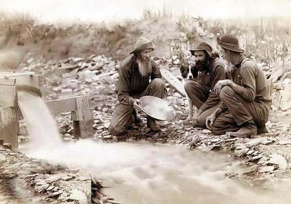 tree men Panning FOR GOLD