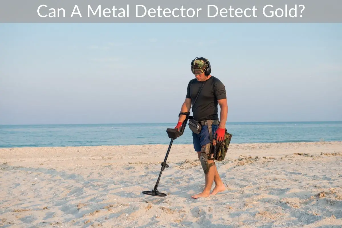 Can A Metal Detector Detect Gold?